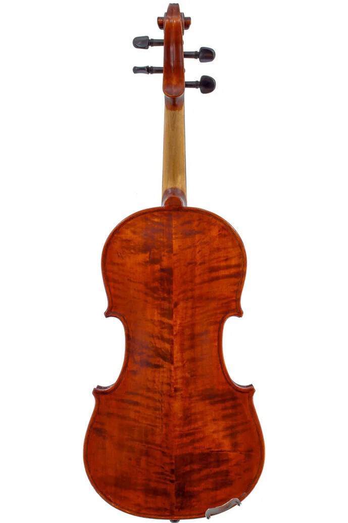 Symphony+violin+back.jpg